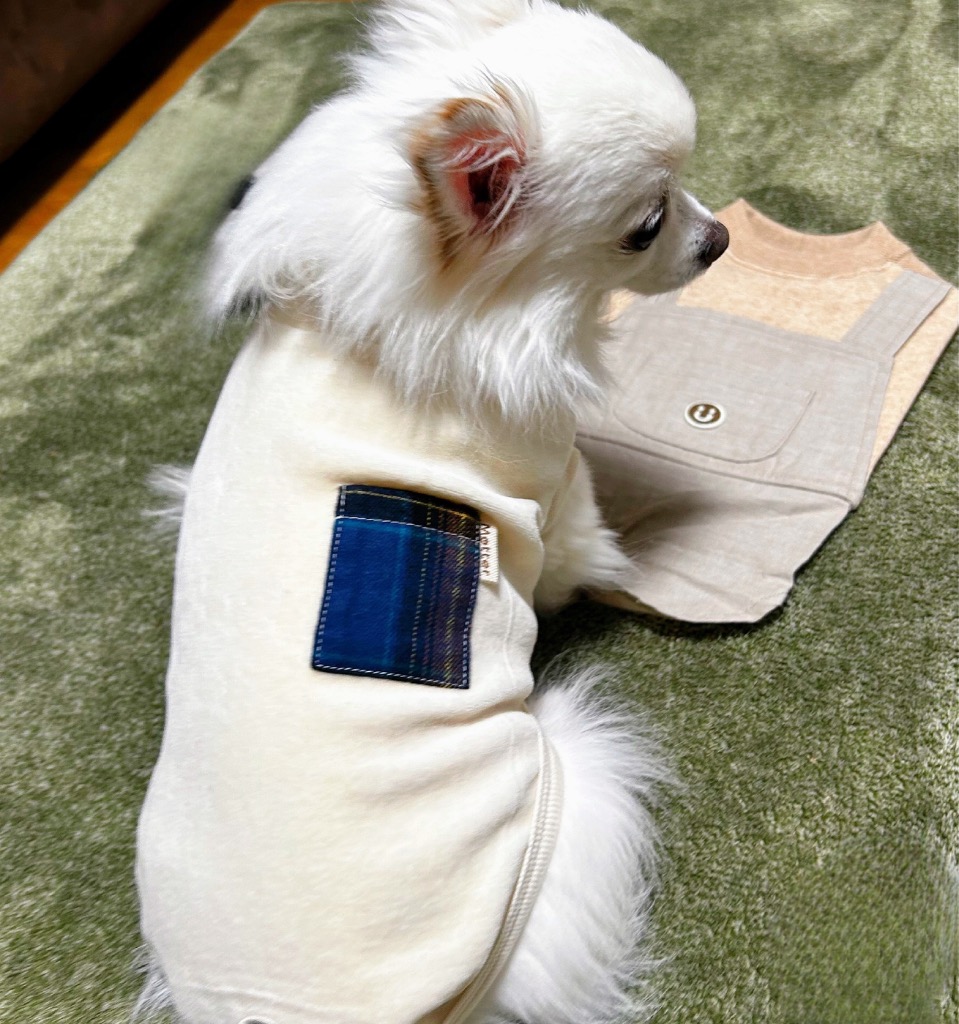 1件目のレビュー画像 | 0