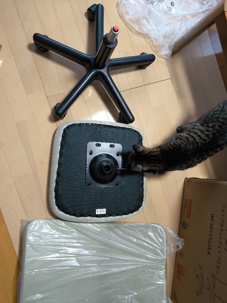 レビュー画像