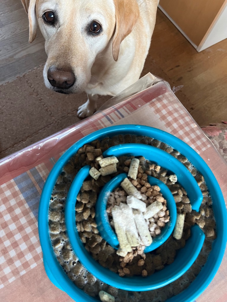 K9 ナチュラル ラム・グリーントライプ 200g 無添加 K9Natural K9 ナチュラル ラム・グリーントライプ 200g 無添加 K9Natural