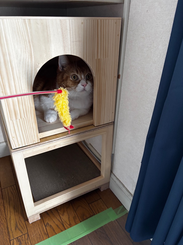 キャットハウス 木製 ねこハウス にゃんこハウス箱型ラージサイズ