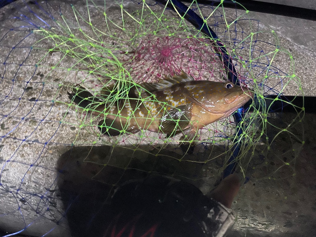 全体のレビュー画像 | 5-2