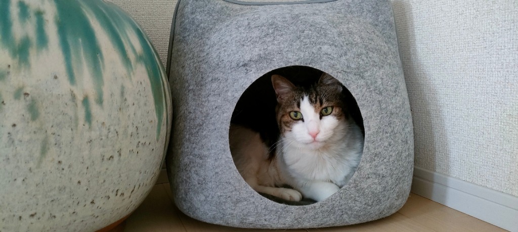キャットハウス ペットベッド 猫耳 コンパクト ドーム 前後
