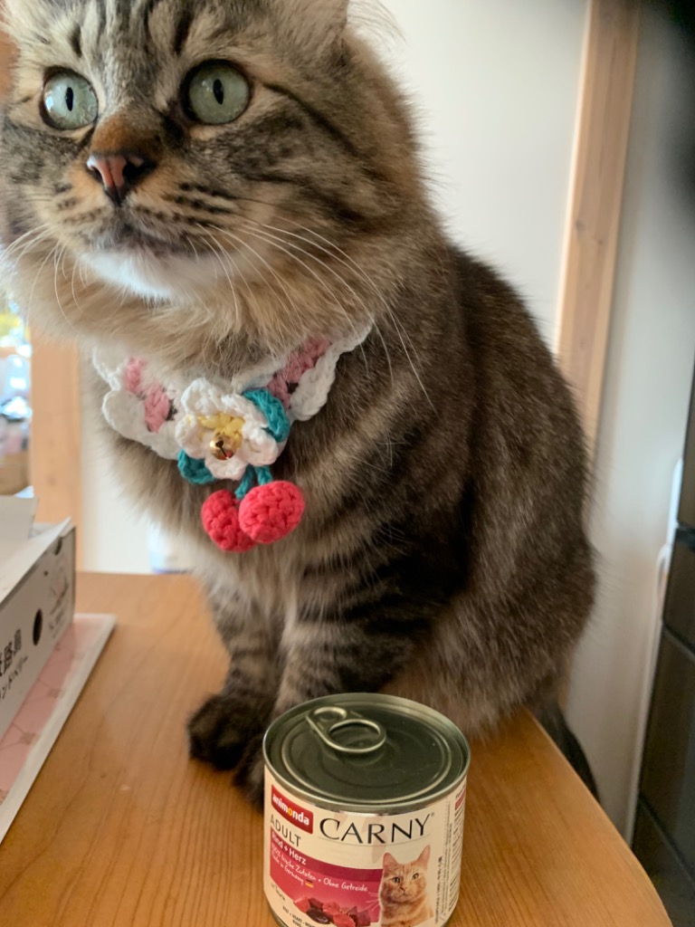 1件目のレビュー画像 | 0