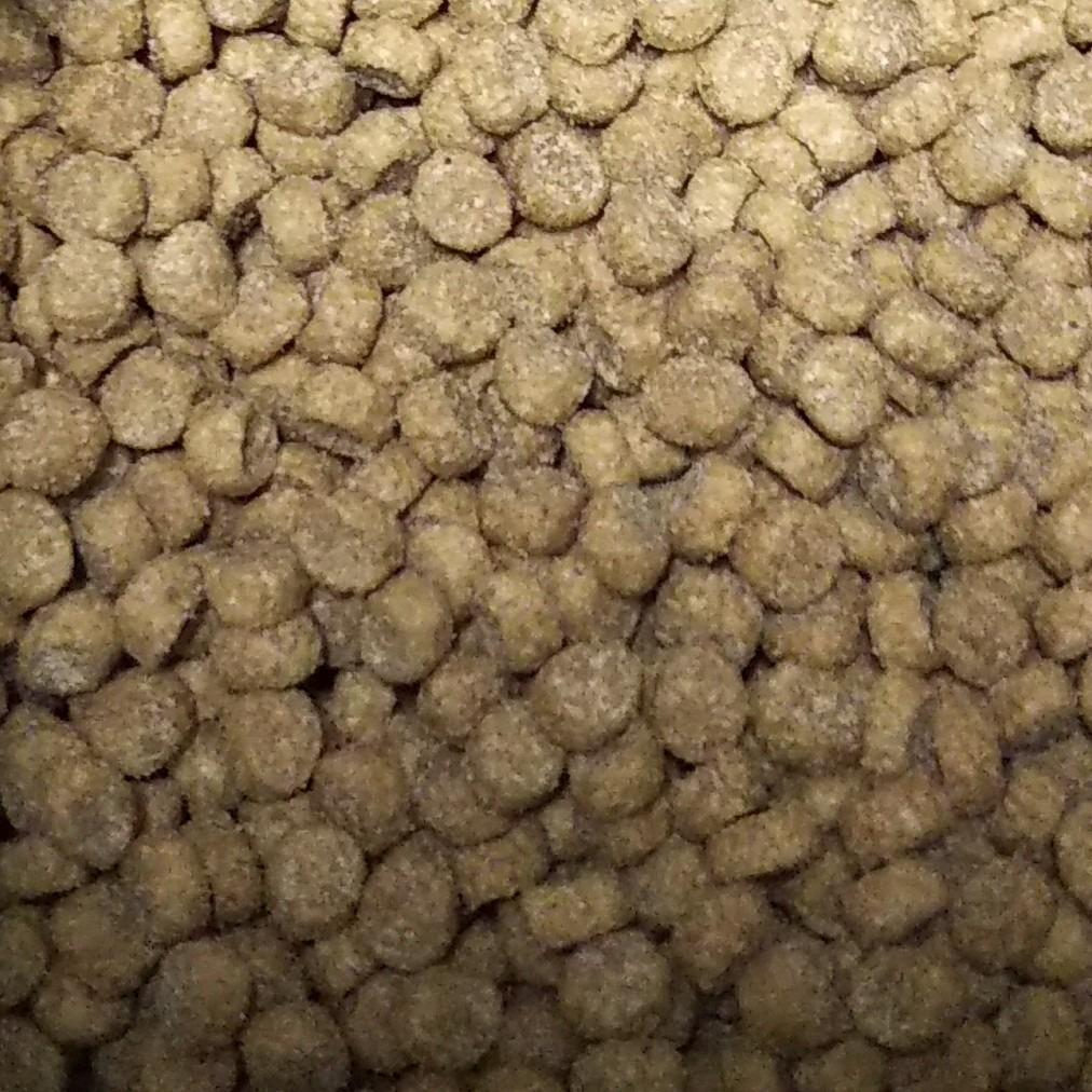 1件目のレビュー画像 | 0