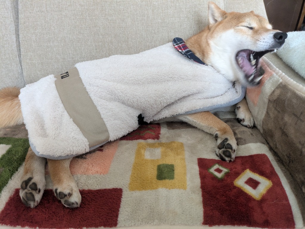 1件目のレビュー画像 | 0