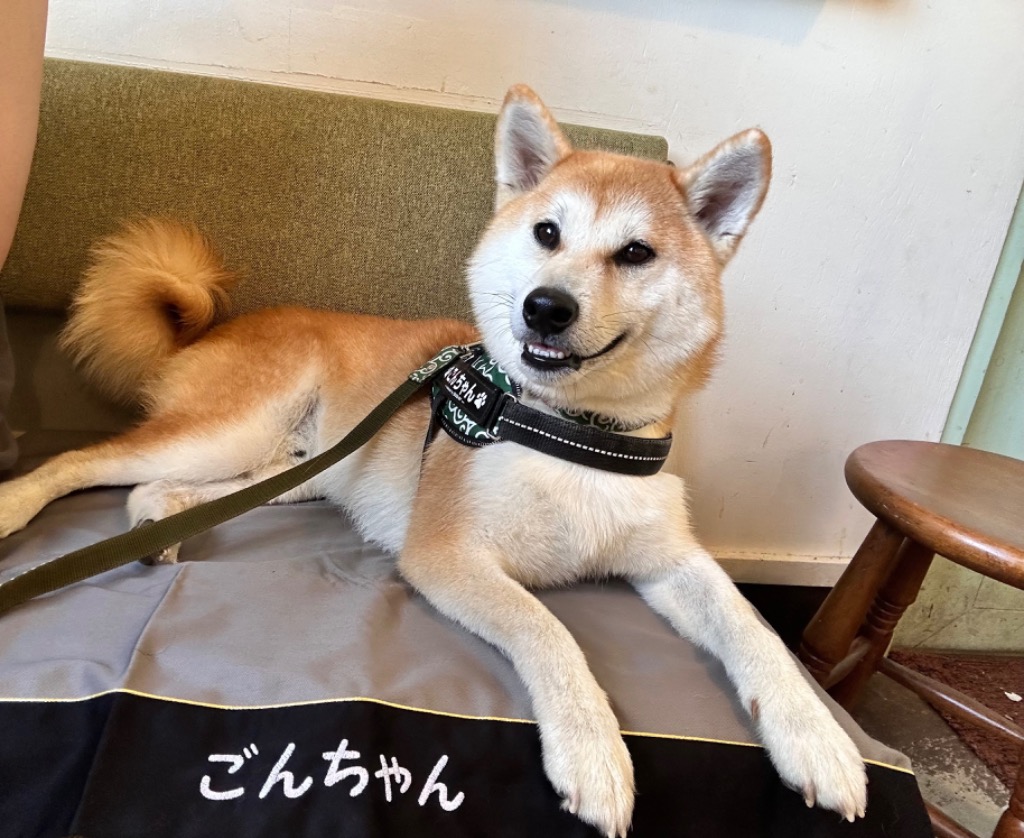 1件目のレビュー画像 | 0