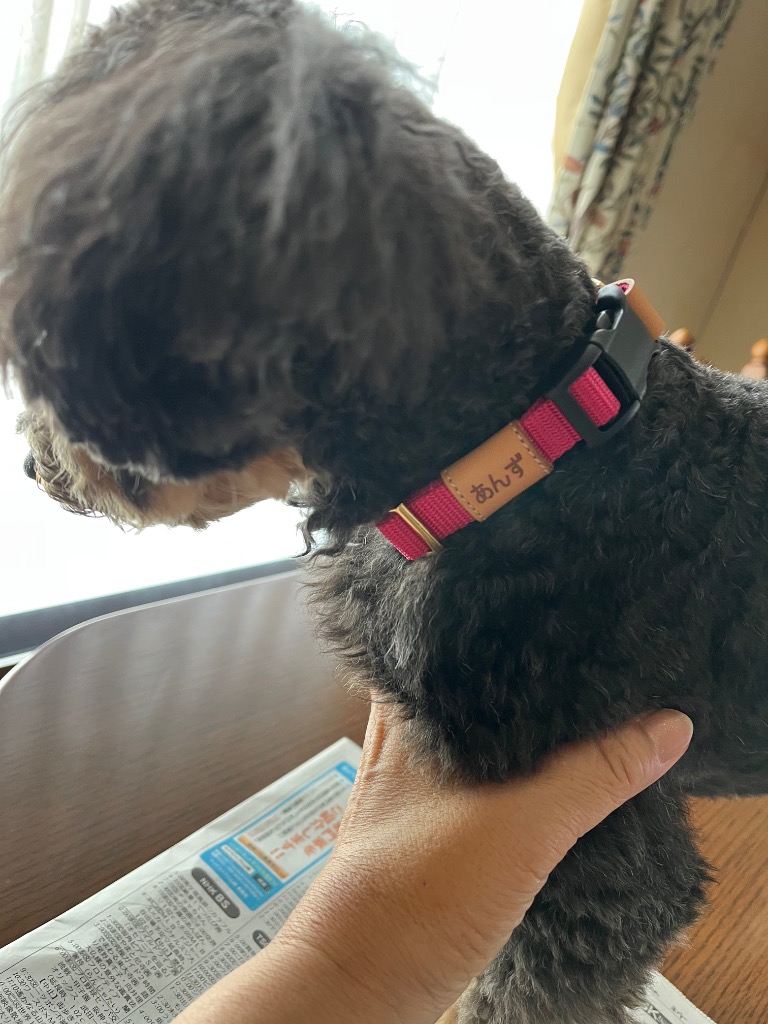 全体のレビュー画像 | 0-0