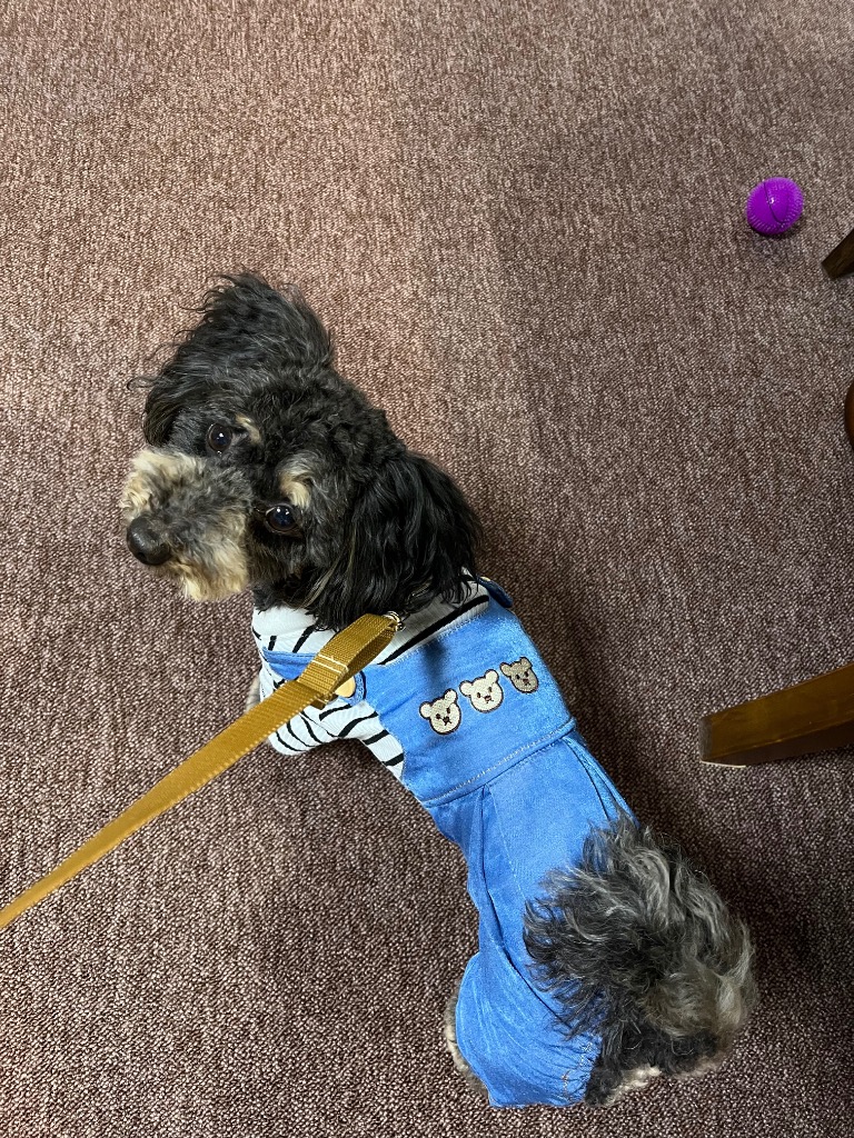 1件目のレビュー画像 | 0