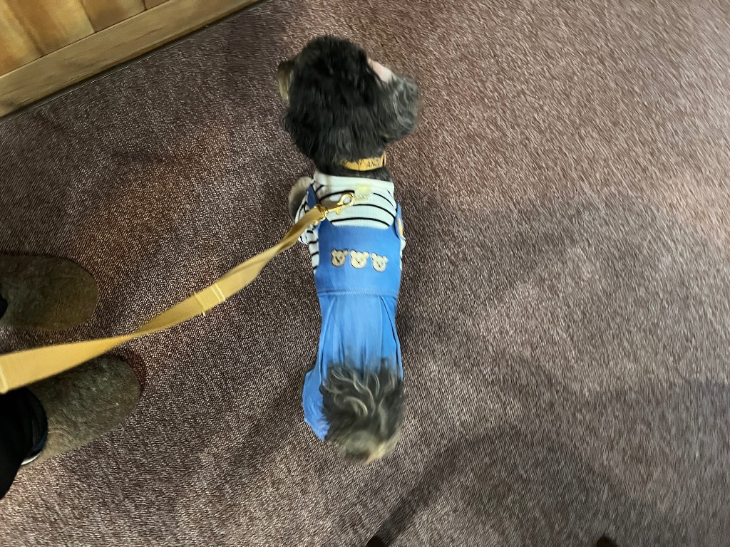 1件目のレビュー画像 | 1