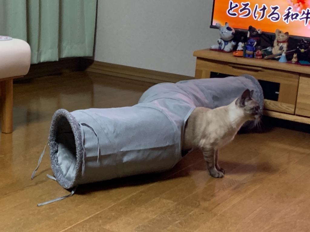 全体のレビュー画像 | 12-1