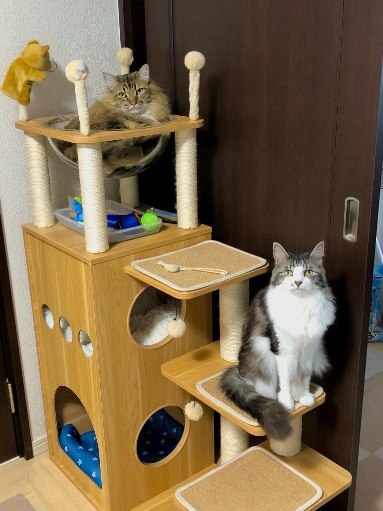 5件目のレビュー画像 | 1
