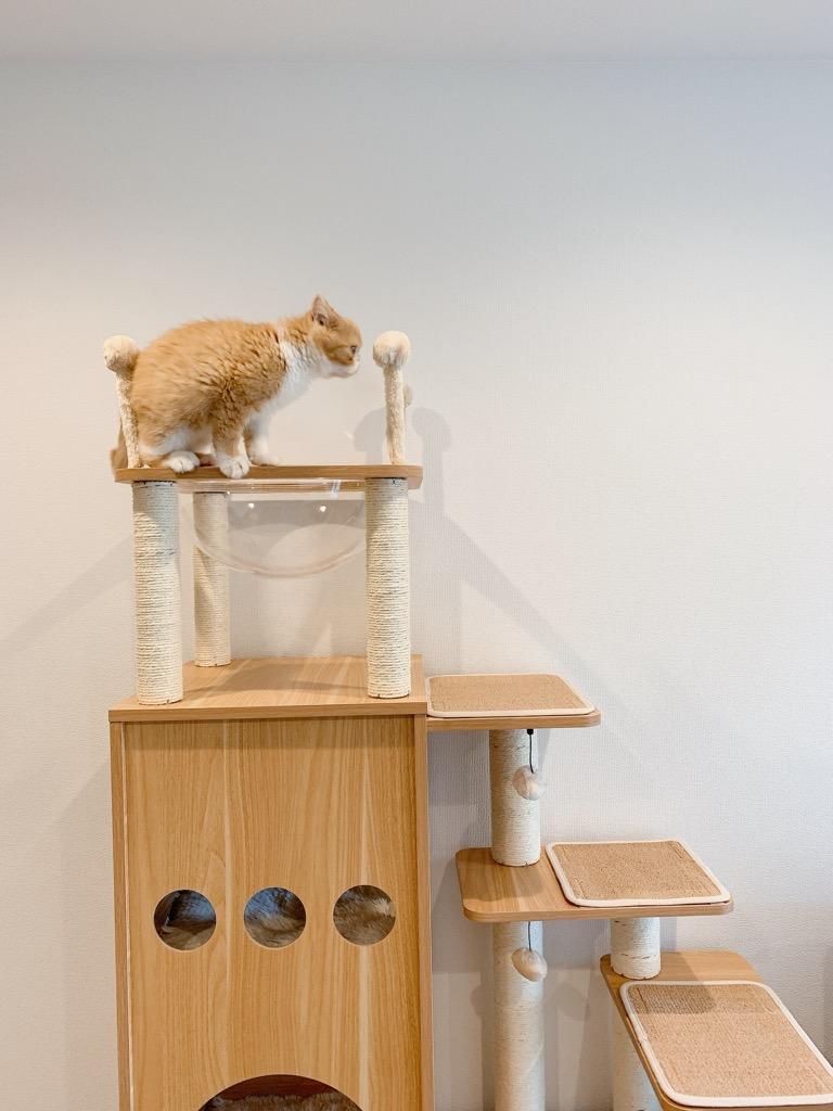 送料無料 キャットタワー 木製 木目調猫タワー 小型猫 大型猫