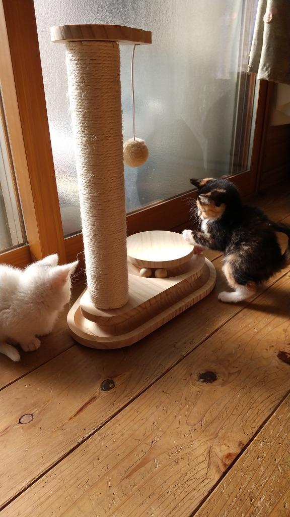 キャットタワー 猫おもちゃ 木製 爪とぎポール 小型 爪磨き キャットタワー 猫おもちゃ 木製 爪とぎポール 小型 爪磨き