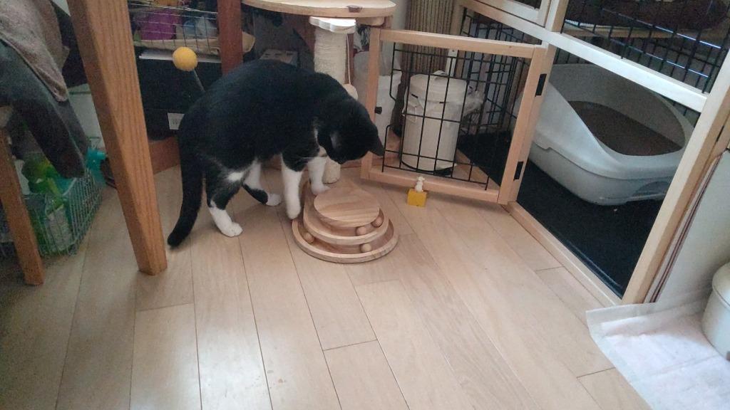 キャットタワー 猫おもちゃ 木製 爪とぎポール 小型 爪磨き キャットタワー 猫おもちゃ 木製 爪とぎポール 小型 爪磨き