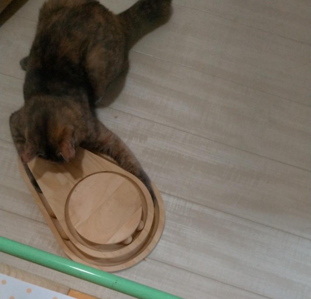 キャットタワー 猫おもちゃ 木製 爪とぎポール 小型 爪磨き キャットタワー 猫おもちゃ 木製 爪とぎポール 小型 爪磨き