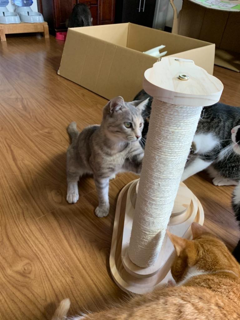 キャットタワー 猫おもちゃ 木製 爪とぎポール 小型 爪磨き キャットタワー 猫おもちゃ 木製 爪とぎポール 小型 爪磨き