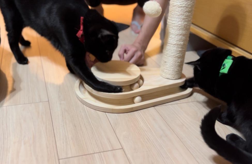キャットタワー 猫おもちゃ 木製 爪とぎポール 小型 爪磨き キャットタワー 猫おもちゃ 木製 爪とぎポール 小型 爪磨き