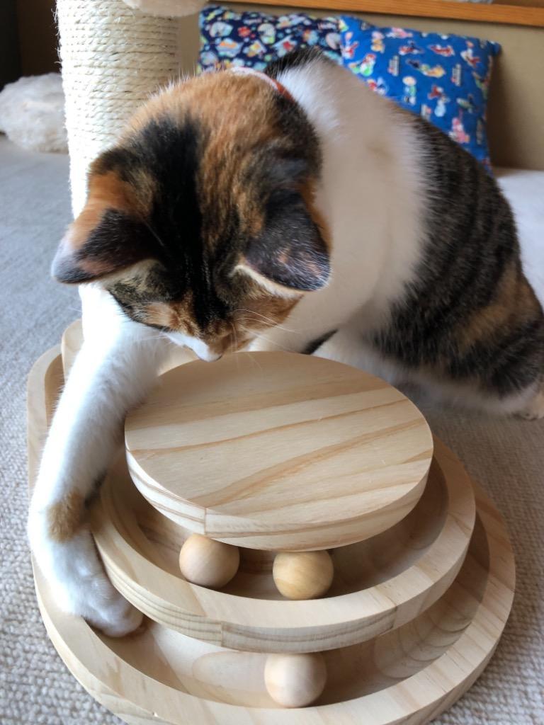 キャットタワー 猫おもちゃ 木製 爪とぎポール 小型 爪磨き キャットタワー 猫おもちゃ 木製 爪とぎポール 小型 爪磨き