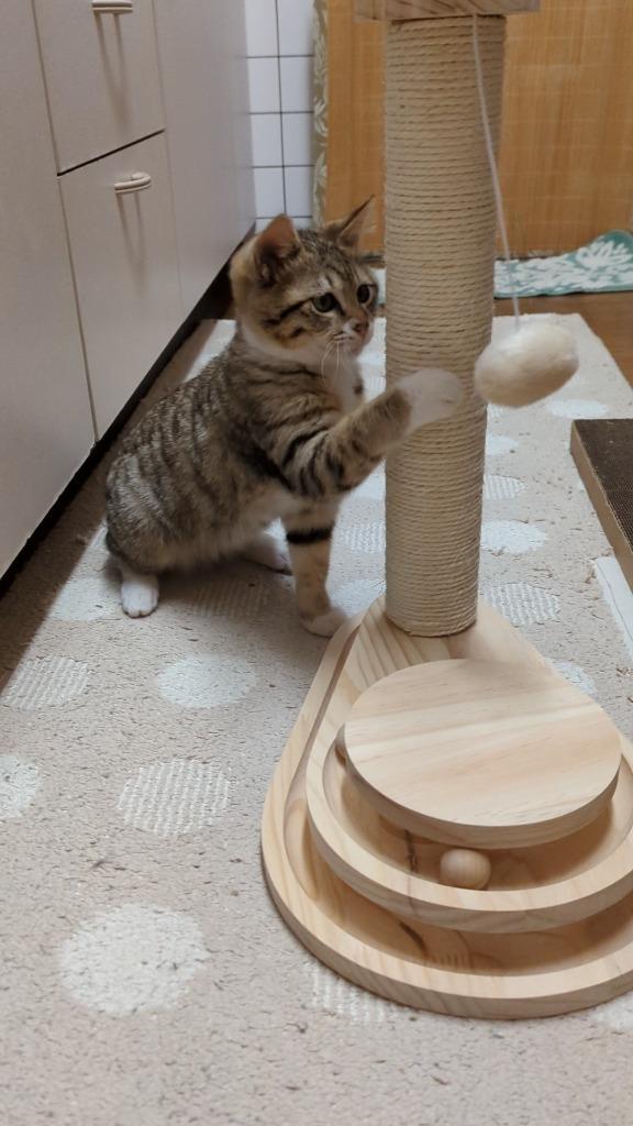 キャットタワー 猫おもちゃ 木製 爪とぎポール 小型 爪磨き キャットタワー 猫おもちゃ 木製 爪とぎポール 小型 爪磨き