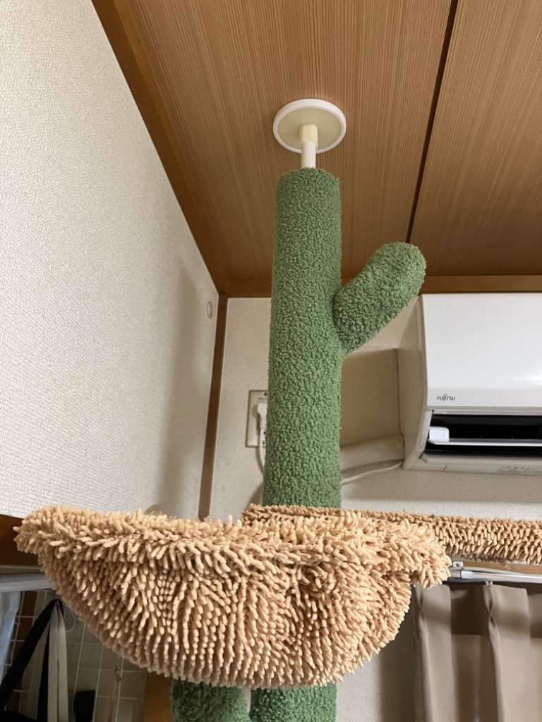 キャットタワー 突っ張り サボテン つっぱり 極太 多頭飼い 猫タワー ■ 送料無料 キャットタワー 突っ張り サボテン つっぱり 極太 多頭