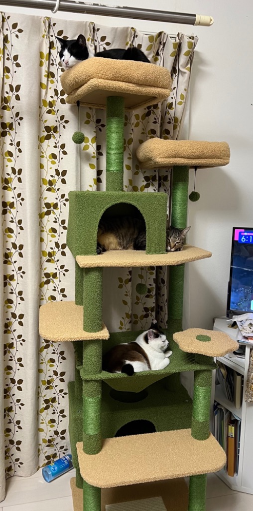 送料無料 キャットタワー 猫タワー 大型 ハンモック 据え置き スリム