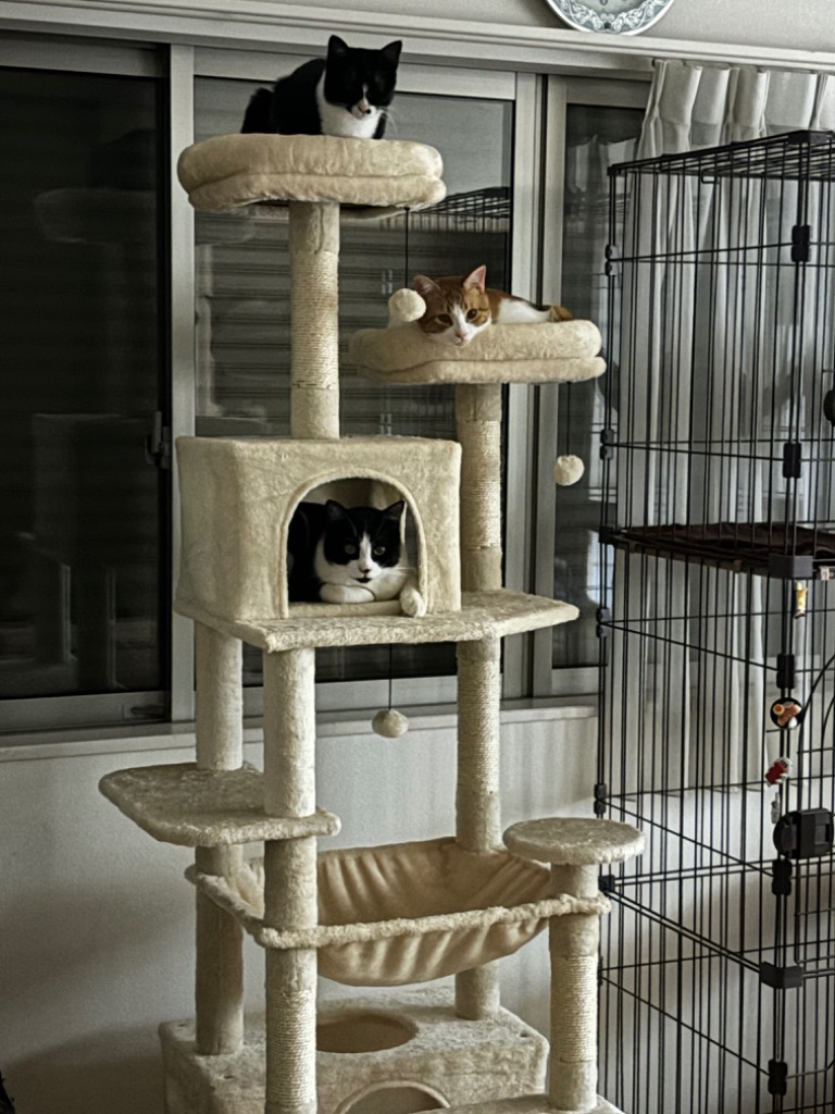 訳あり⭐キャットタワー 大型 爪とぎ おもちゃ ハンモック 猫 据え置き 隠れ家 キャットタワー 据え置き ハンモック付き 隠れ家付き 屋上 爪