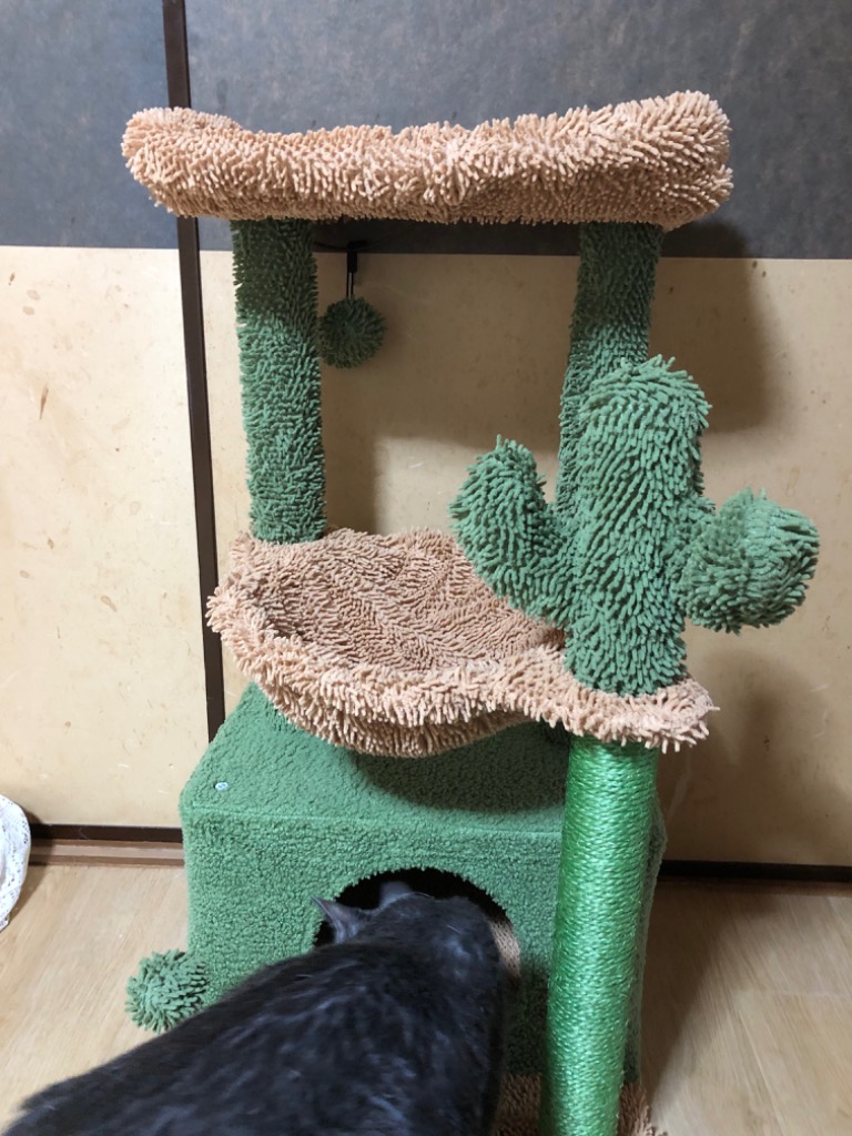 キャットタワー ミニ 猫タワー サボテン 小型 低め 据え置き 高さ80cm 送料無料 キャットタワー ミニ 猫タワー サボテン 小型 多頭