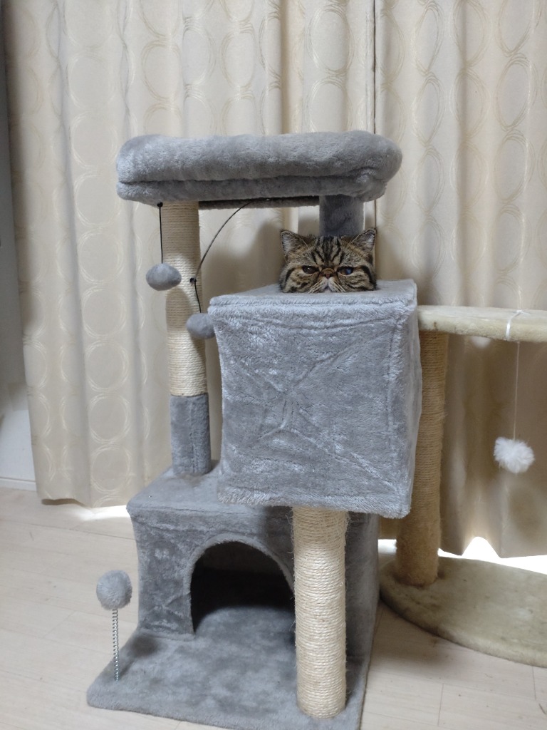 キャットタワー コンパクト 据え置き 隠れ家 2つ ミニ 小型 爪磨き