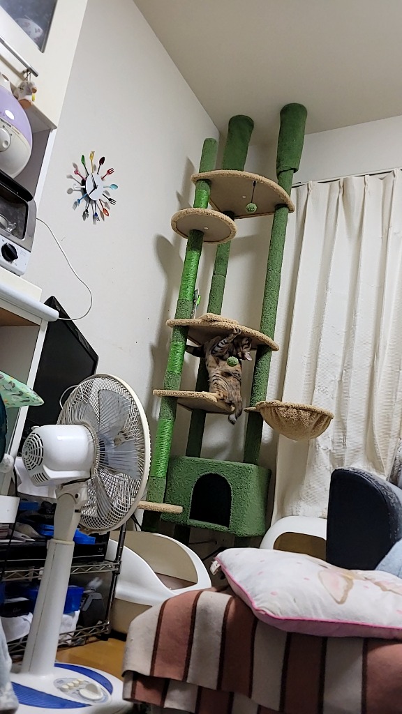 レビュー画像