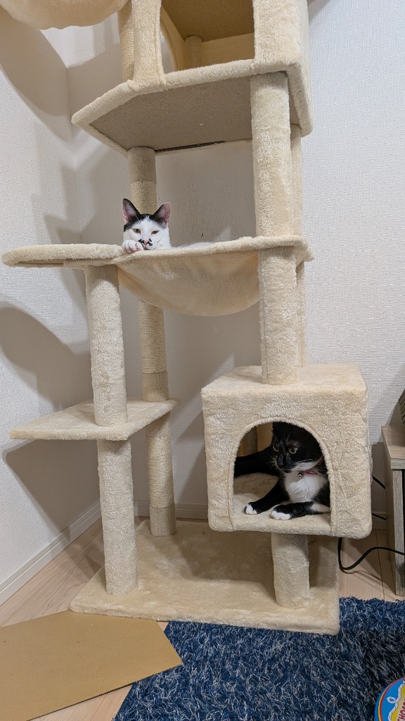 新品　キャットタワー 多頭飼いスリム 省スペース 据え置き 高さ168cm 送料無料 キャットタワー スリム 大型猫用 多頭飼い 猫タワー