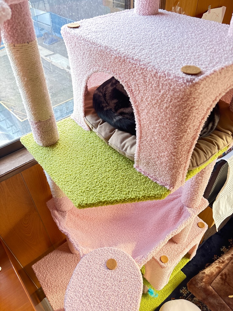 新品　キャットタワー 多頭飼いスリム 省スペース 据え置き 高さ168cm 送料無料 キャットタワー スリム 大型猫用 多頭飼い 猫タワー