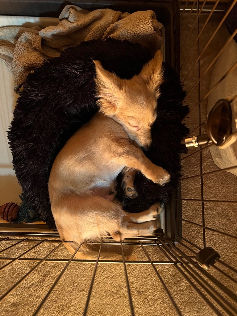 全体のレビュー画像 | 5-0