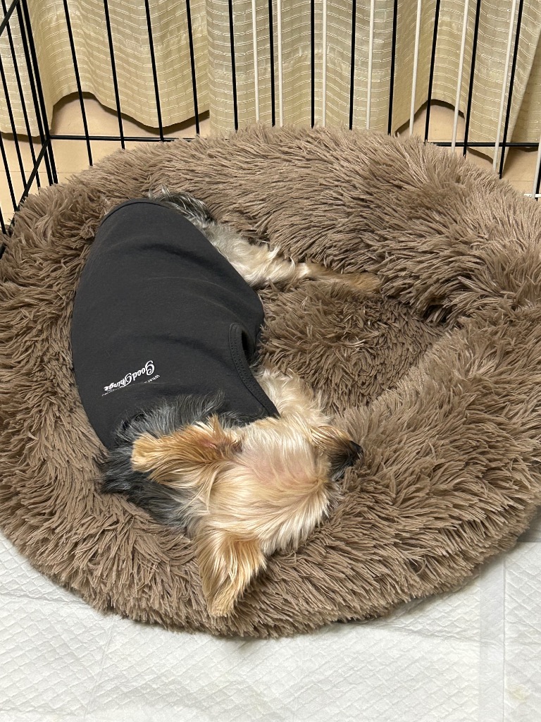 全体のレビュー画像 | 7-1