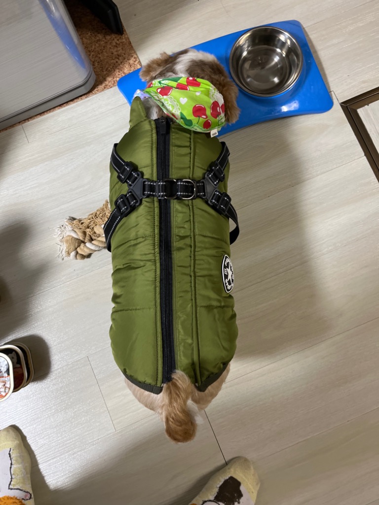 7件目のレビュー画像 | 0