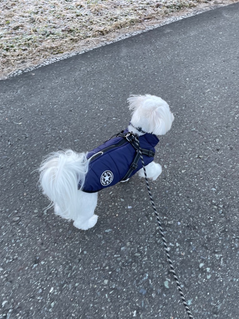 犬 服 犬服 犬の服 ドッグウェア 犬用ベスト ダウン風 犬用アウター