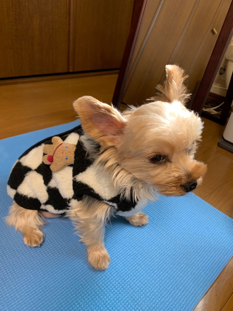 レビュー画像