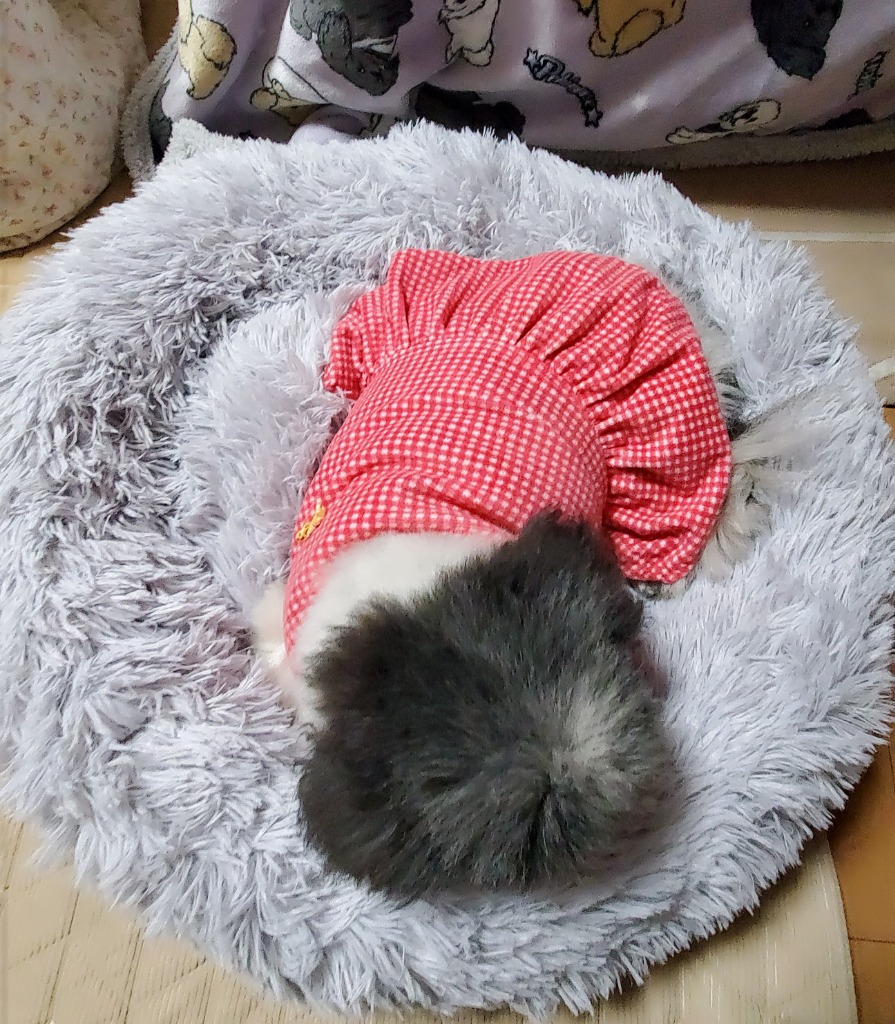 レビュー画像