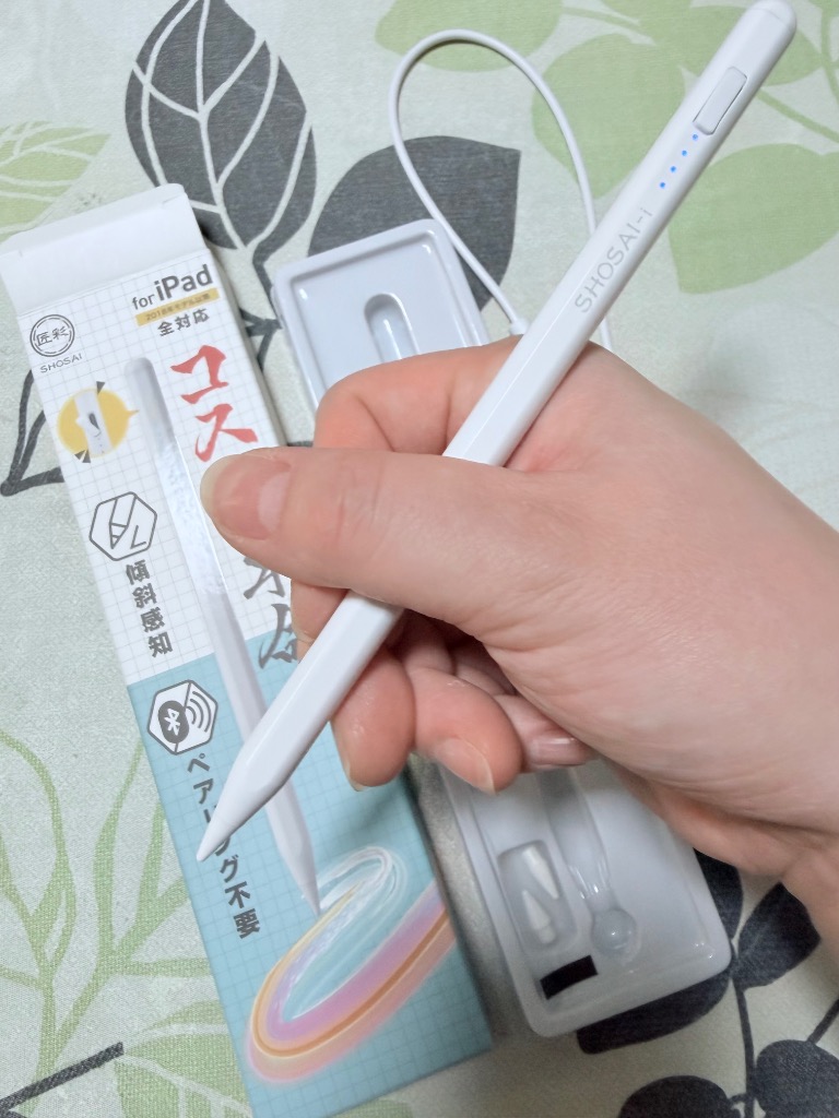 プロ漫画家推薦】 iPad用 タッチペン アップル ペンシル 互換ペン