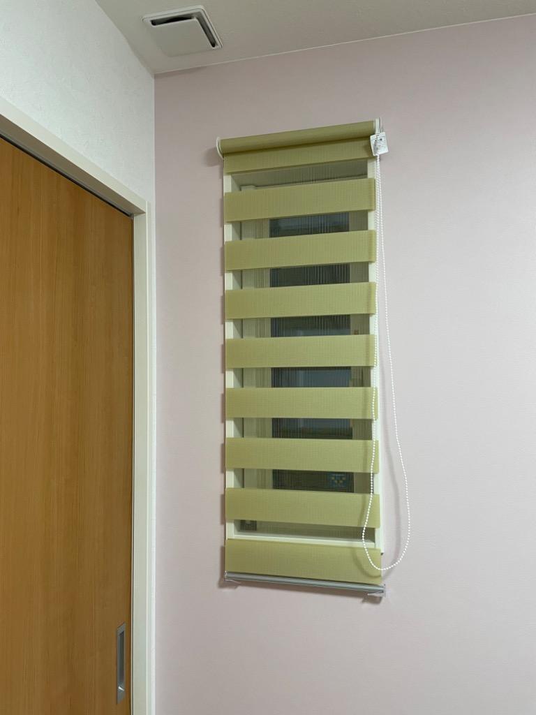 ロールスクリーン 調光 おしゃれ ゼブライト 規格品 幅 40cm x 高さ 110cm :fl2046:内装応援団 通販  