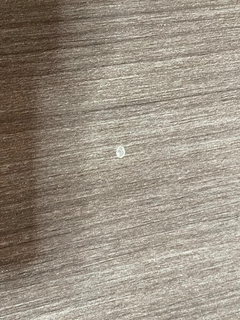 全体のレビュー画像 | 0-0
