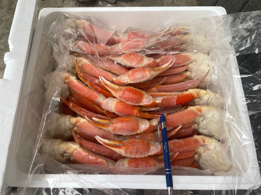 全体のレビュー画像 | 0-1