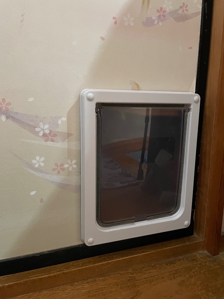 レビュー画像