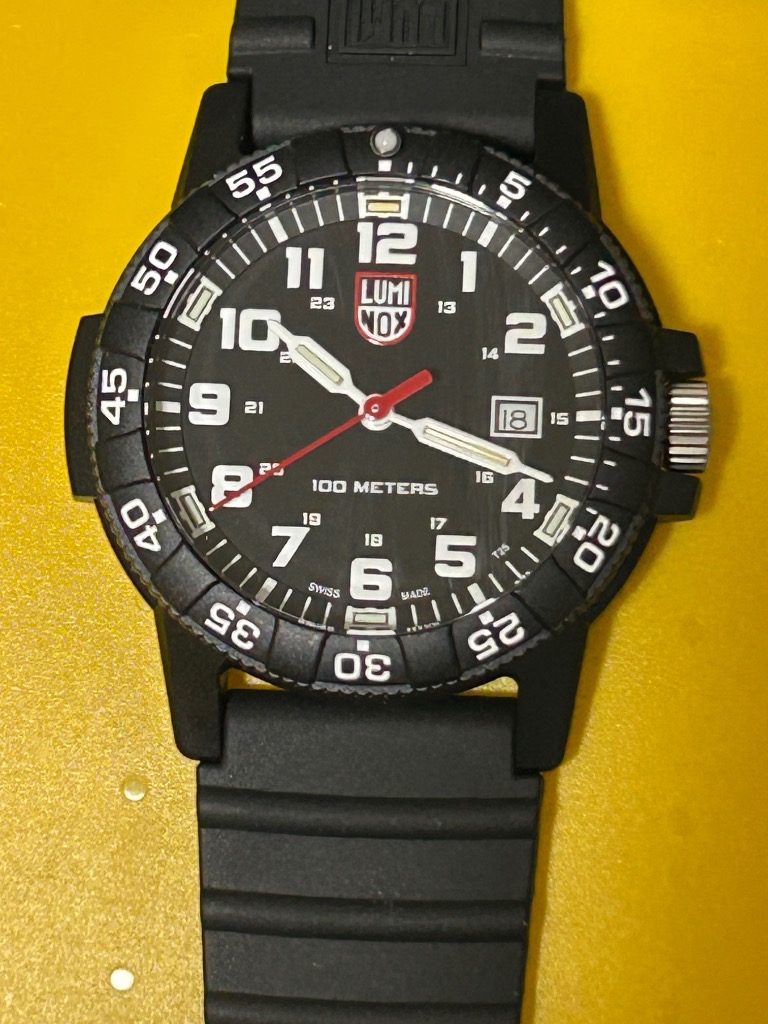 SEA TURTLE ルミノックス 0320シリーズ 腕時計 LUMINOX レザーバック