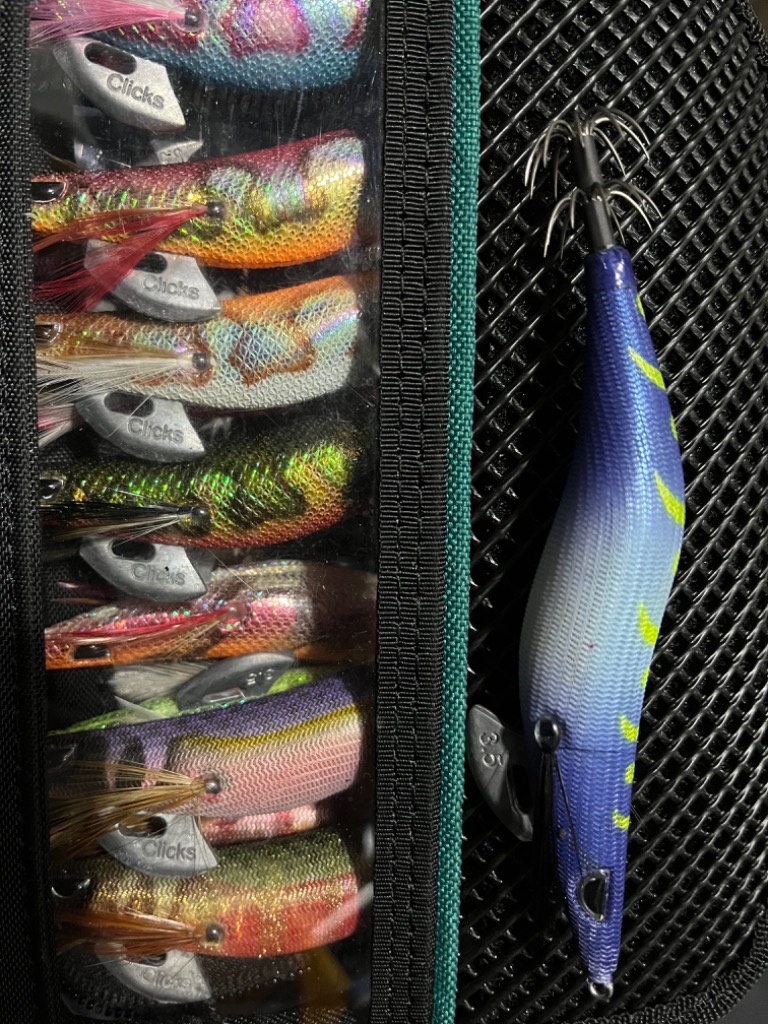 カンジインターナショナル クロノ (CRONO) カンジ プロスペック