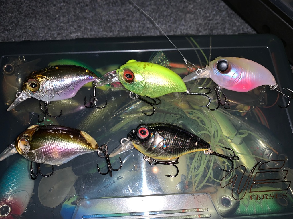 Megabass(メガバス) SR-X GRIFFON (エスアールエックスグリフォン