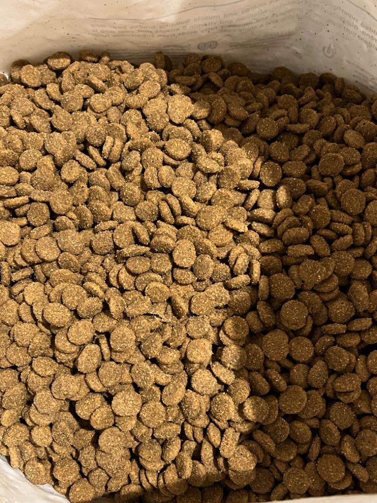 ダイアモンドナチュラル 【正規品】 アダルト（成犬） ビーフ