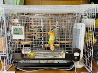鳥かご インコ 保温 ヒーター手作り（防寒・飛び散り防止カバー