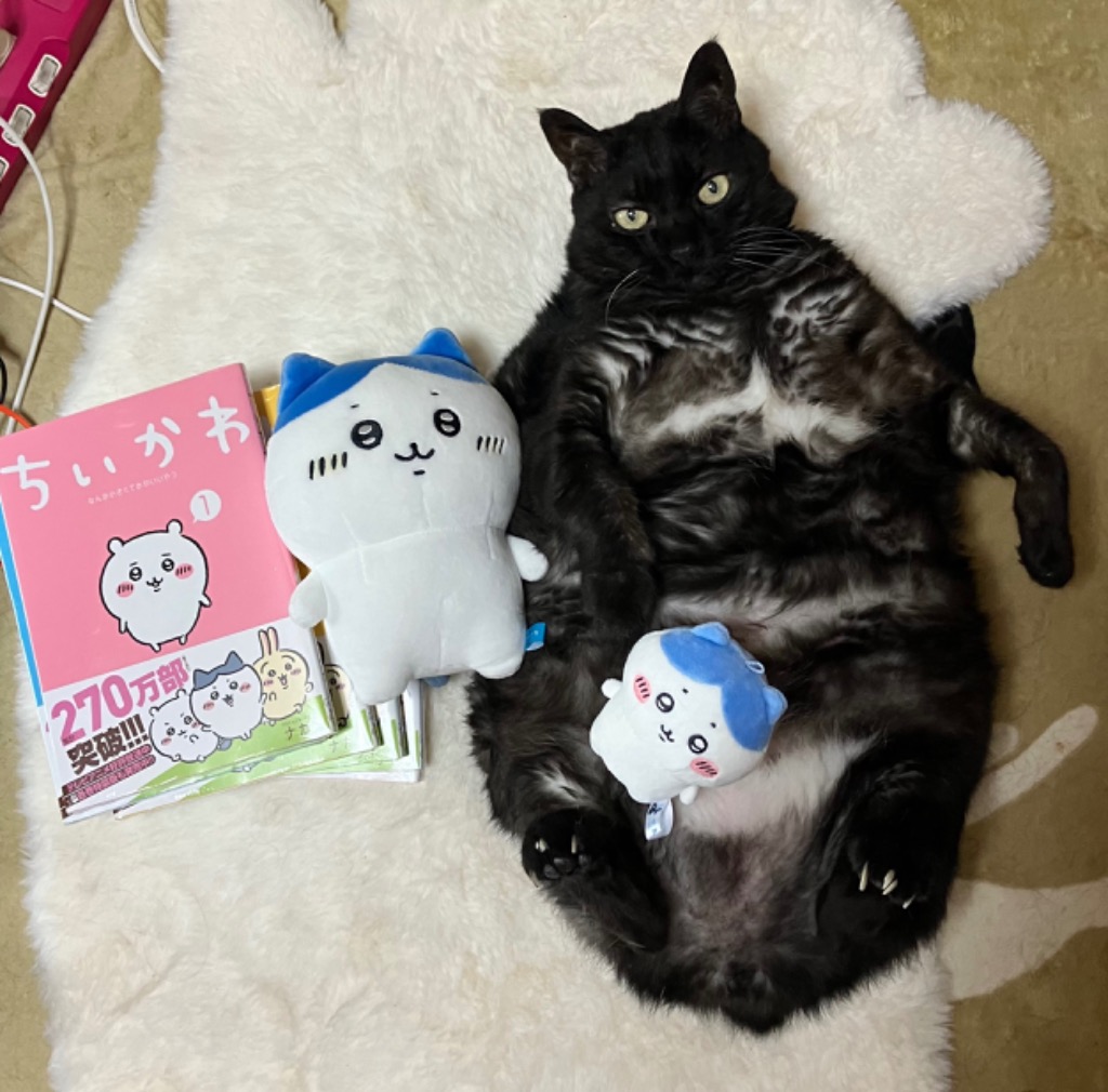 講談社 ちいかわ なんか小さくてかわいいやつ 通常版 1〜7巻