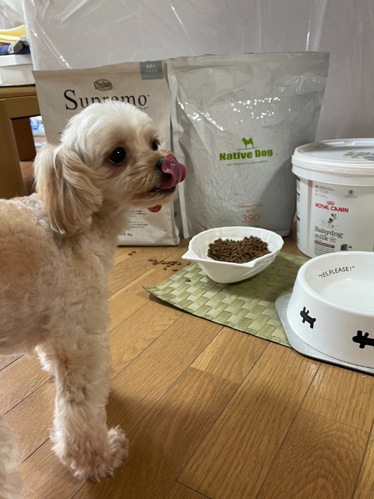ネイティブドッグ ドッグフード プレミアムチキン 成犬用 3kg