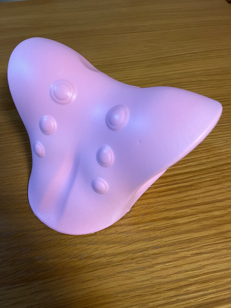 レビュー画像